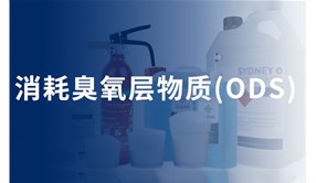 ODS物質的來源及環境危害